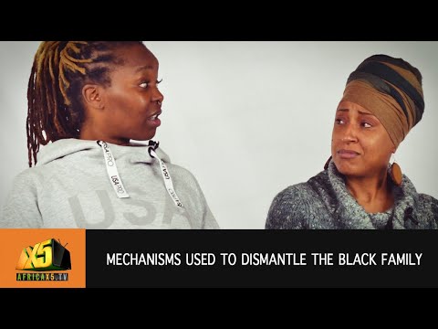 What mechanisms are used to dismantle the Black Family? THE PERSPECTIVE (S2 EP1)