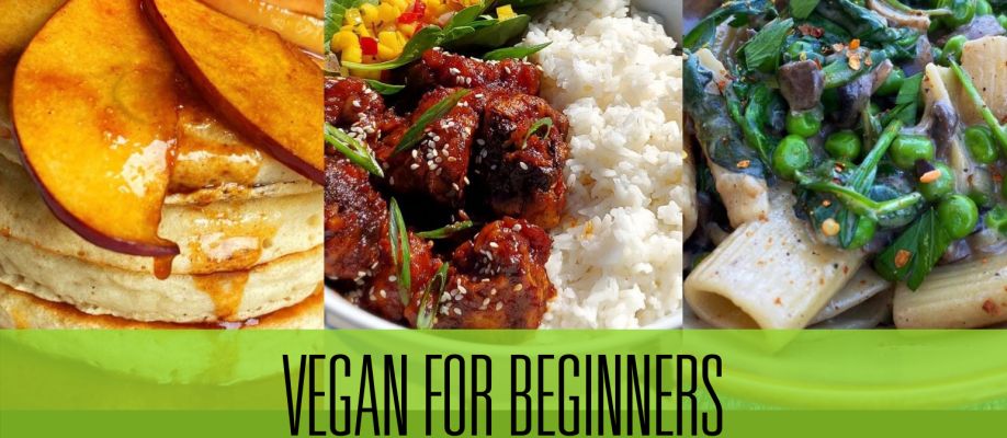 Vegan For Beginners
