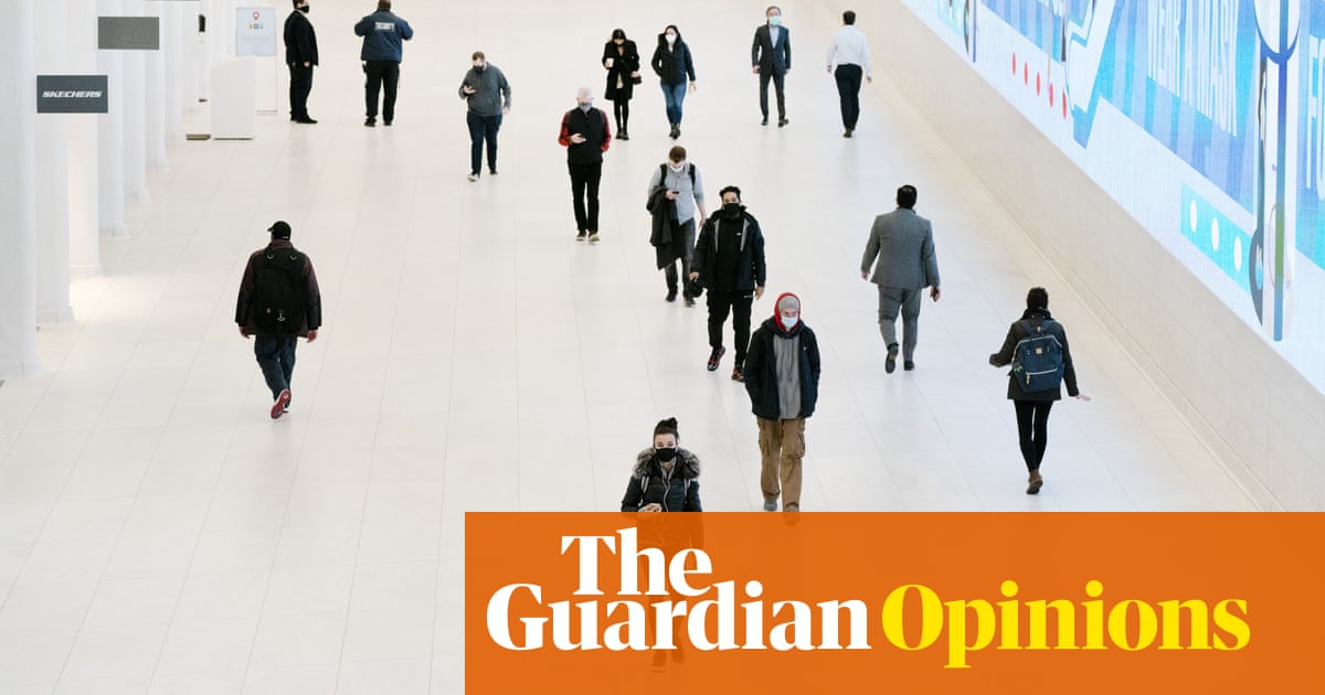 Plummeting sperm counts, shrinking penises: toxic chemicals threaten humanity | Environment | The Guardian