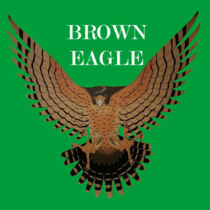 Brown Eagle 
