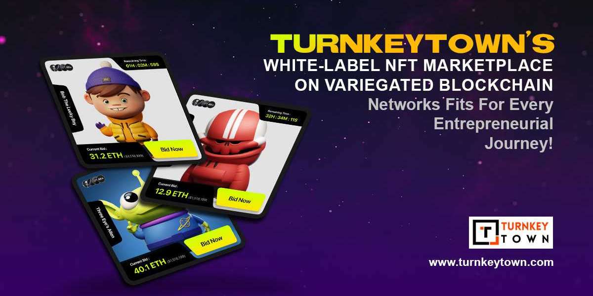 Why is White-label NFT Marketplace Development Better Than The Traditional Ones?