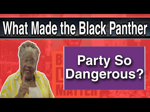 Sankofa Pan African - What made the Black Panther Party so dangerous ? - Média Afro Dissident / Afro Dissident Media